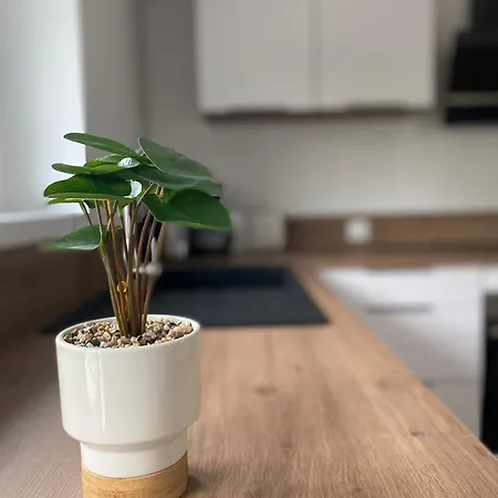 Les De St Mart Bréhal