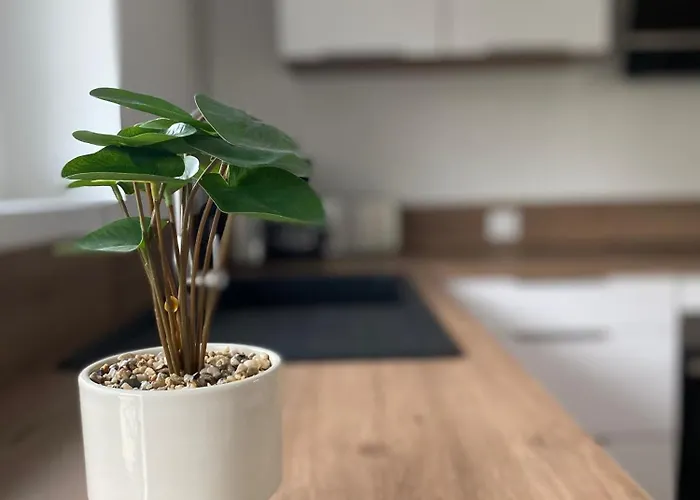 Les De St Mart Bréhal