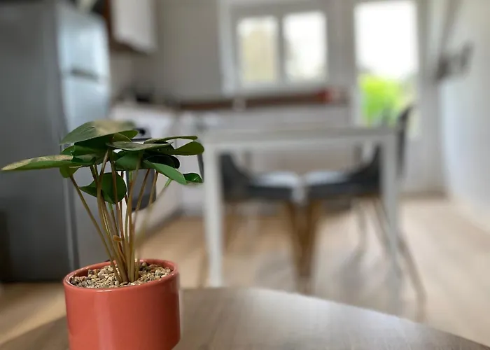 Les De St Mart Bréhal